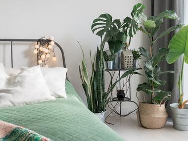 18400-shutterstock_1627294522