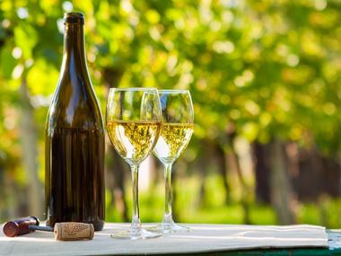 Vinobranie je ideálnym tipom pre lepšiu náladu